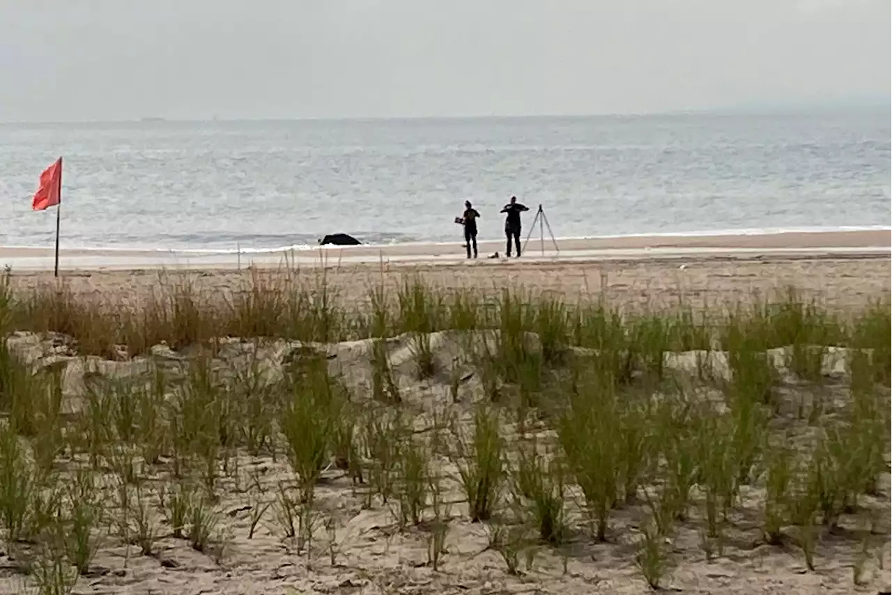 Police Believe 3 Children Drowned by Mother at NYC Beach