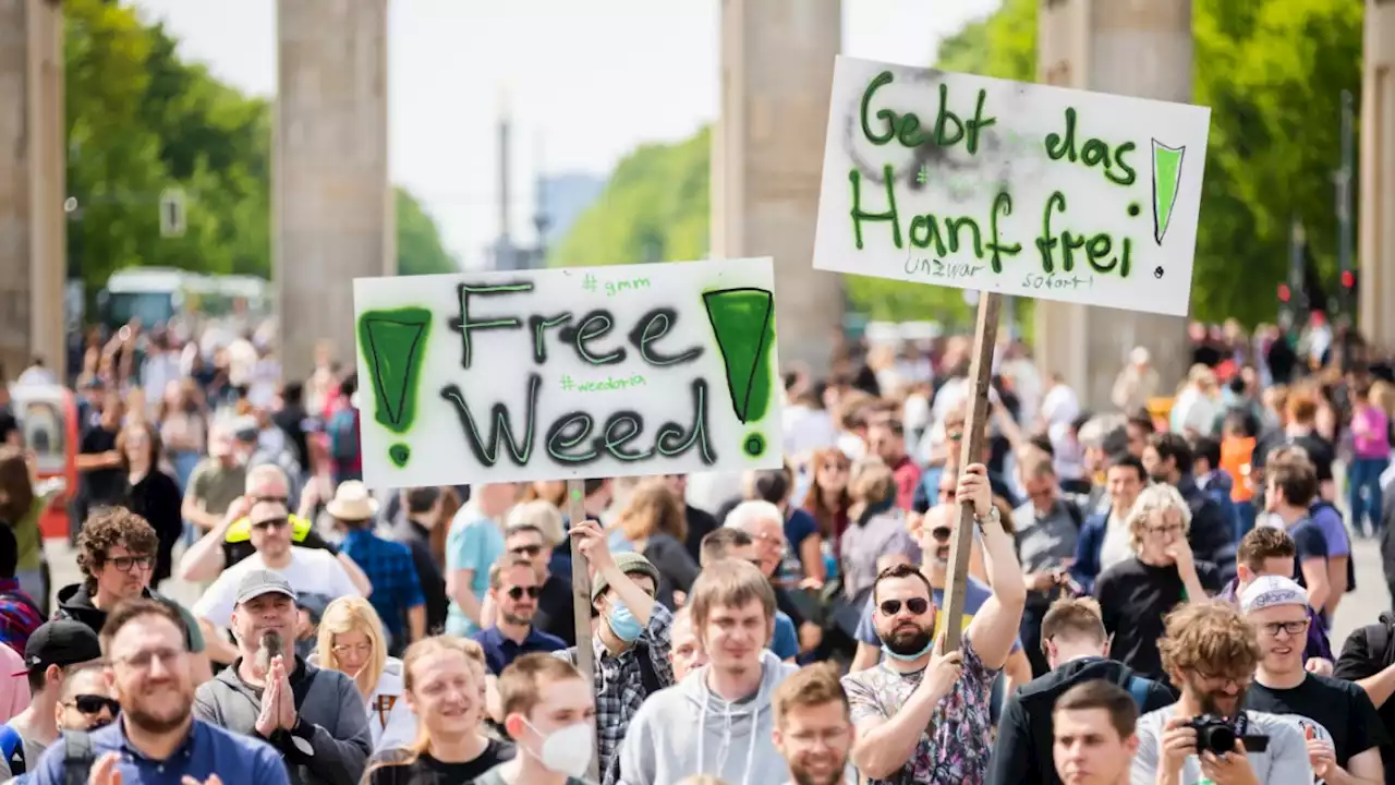 Internationales Recht ist Hürde für Cannabis-Legalisierung