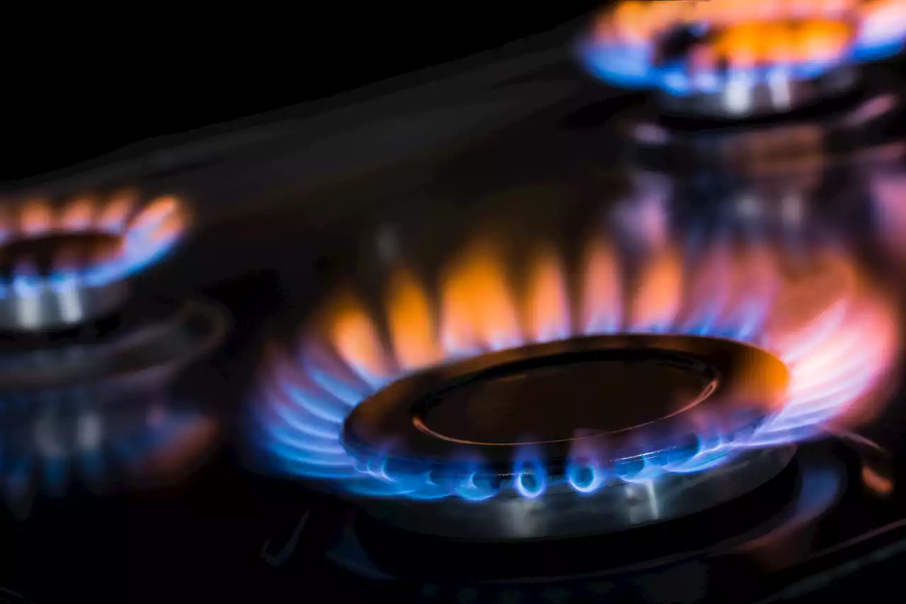 Millions of British Gas customers can get up to £175 energy bill discount