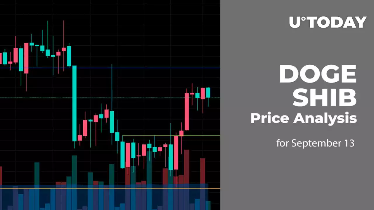 DOGE and SHIB Price Analysis for September 13