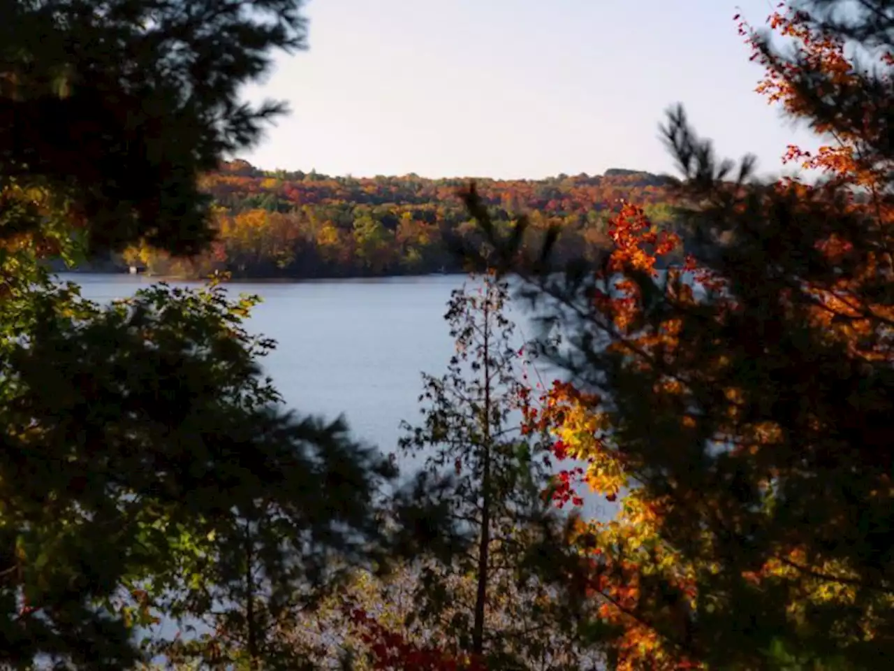 Cannabis and psychedelics combine at luxury Ontario retreat in the name of wellness