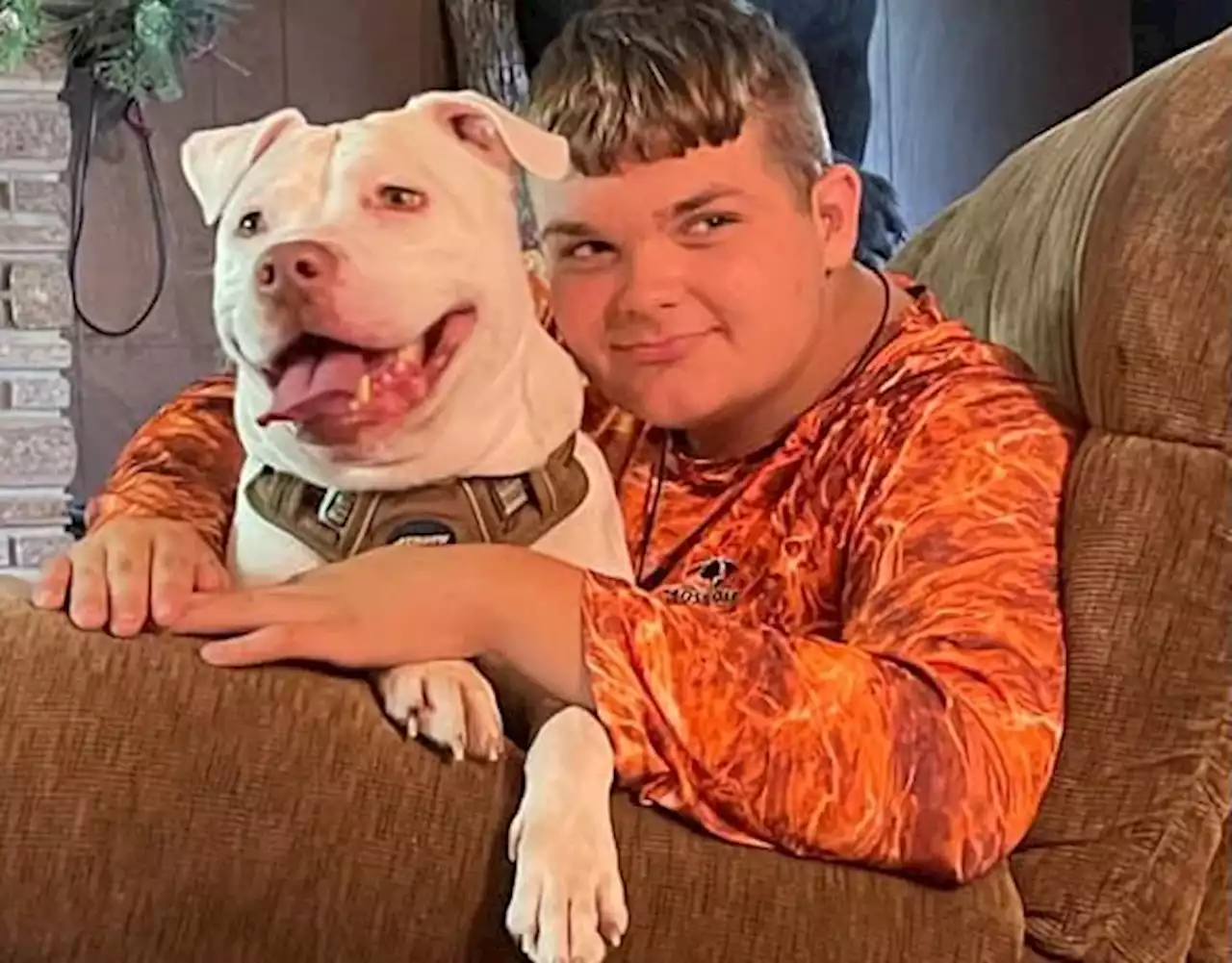 A deaf dog has found his forever companion: A teen with hearing loss