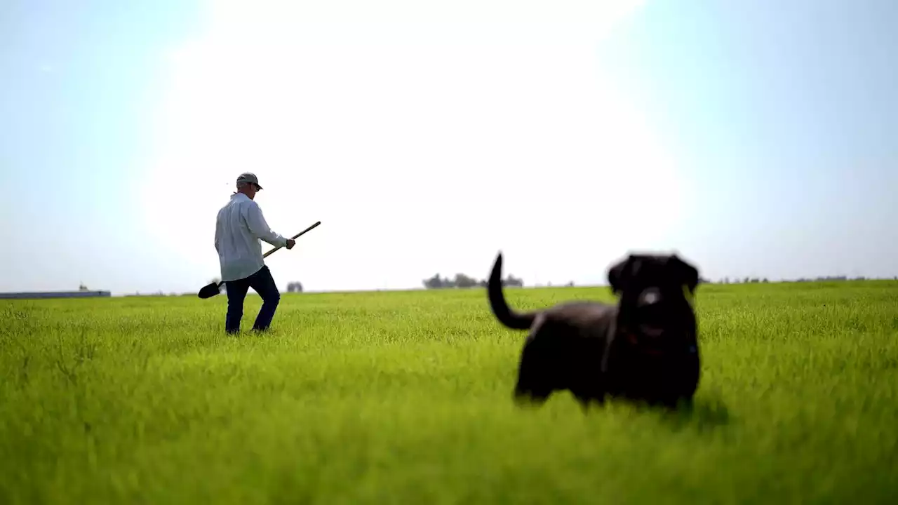 Stressed Colorado River keeps California desert farms alive