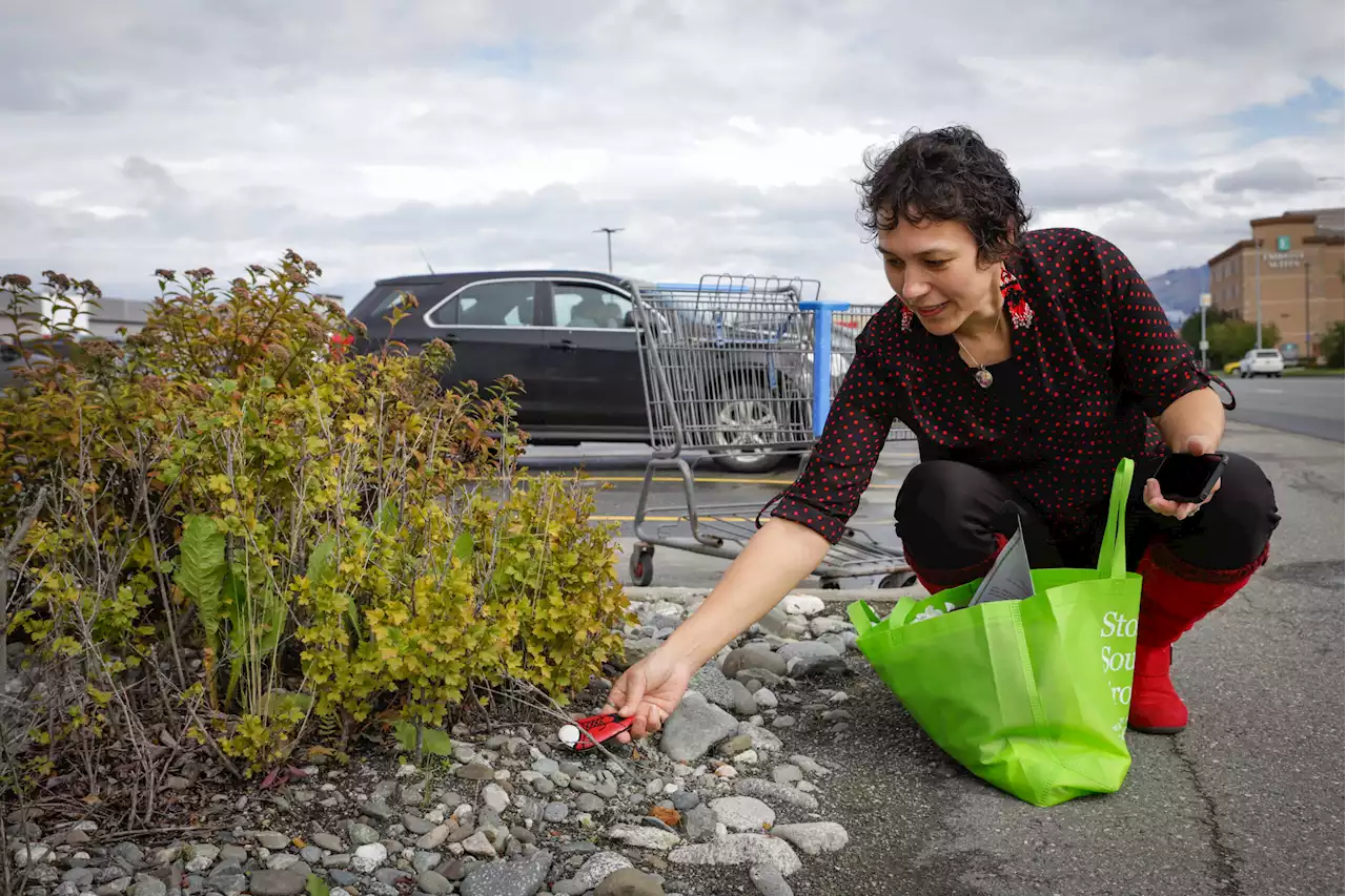 How an Anchorage woman is spreading awareness of FASD by painting rocks - Alaska Public Media