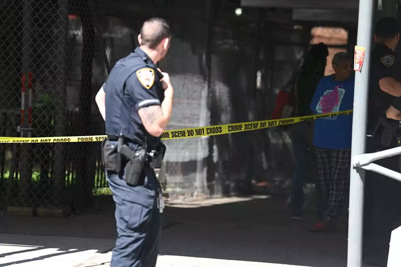 Construction worker fatally shot in broad daylight at Brooklyn work site | amNewYork