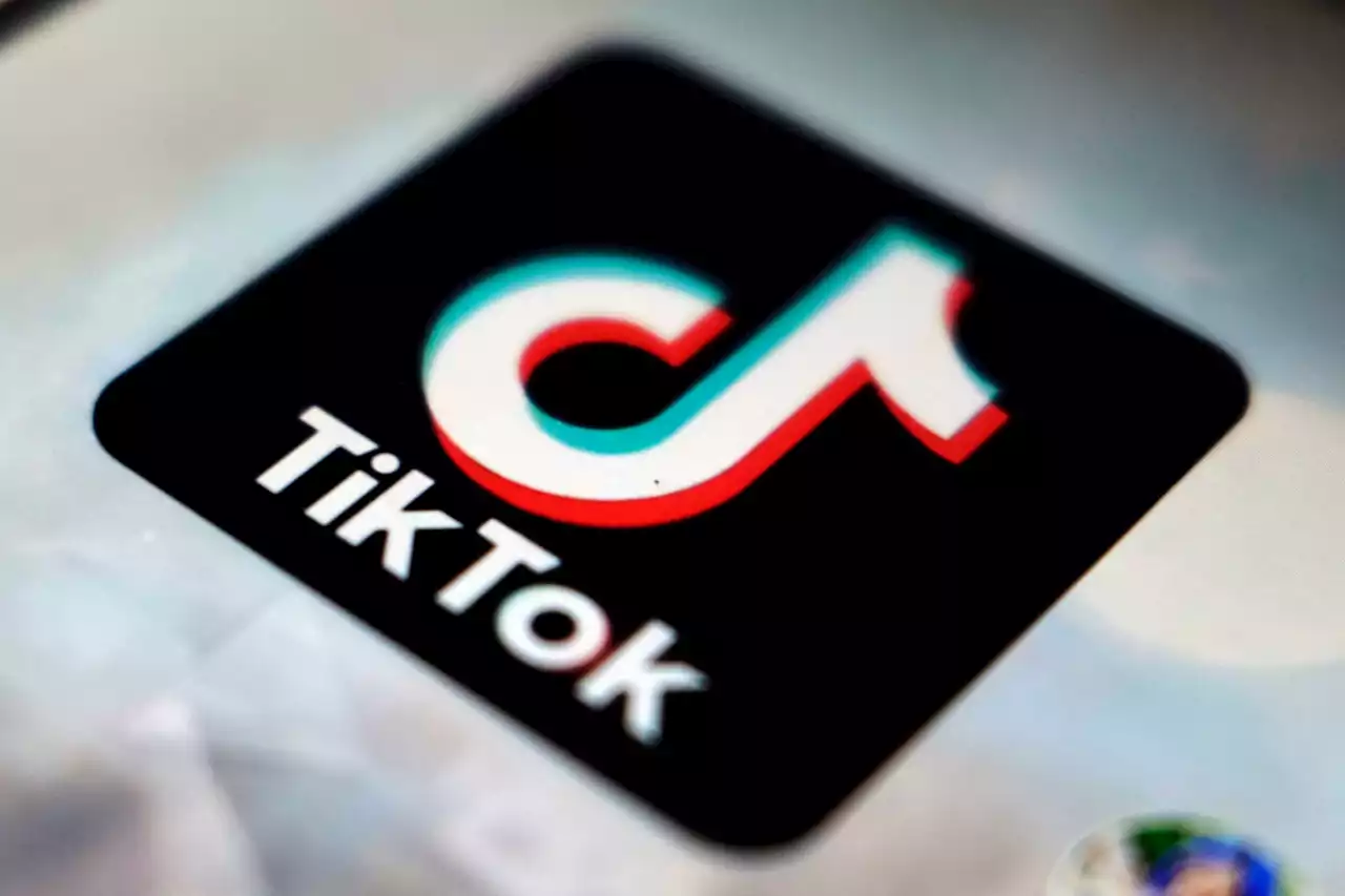 TikTok search results riddled with misinformation: Report | amNewYork