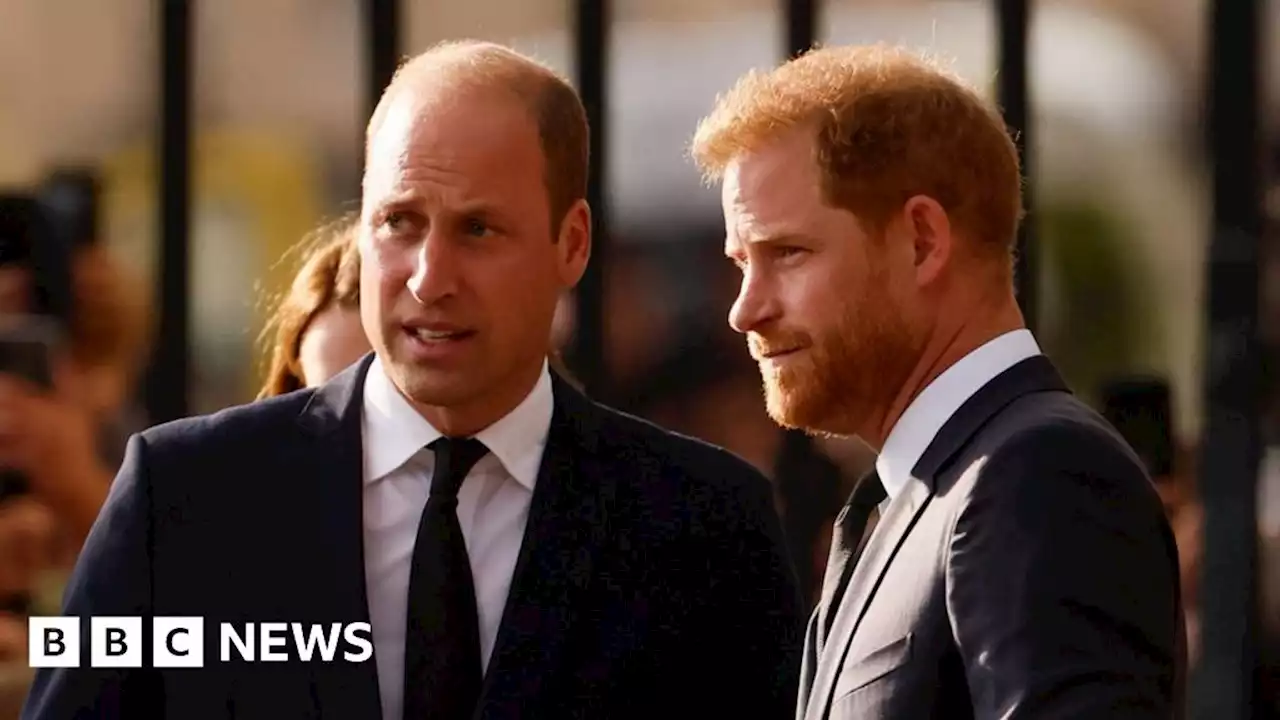 William and Harry to walk behind Queen's coffin to Westminster Hall