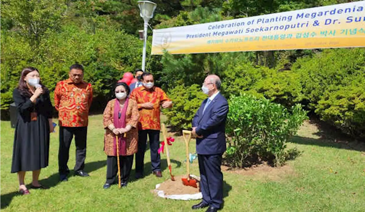 Tanam Pohon di Jeju, Megawati Ajak Dunia Cintai Lingkungan