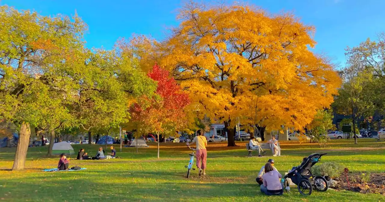 Here's how to book things like picnic areas and skating rinks in Toronto