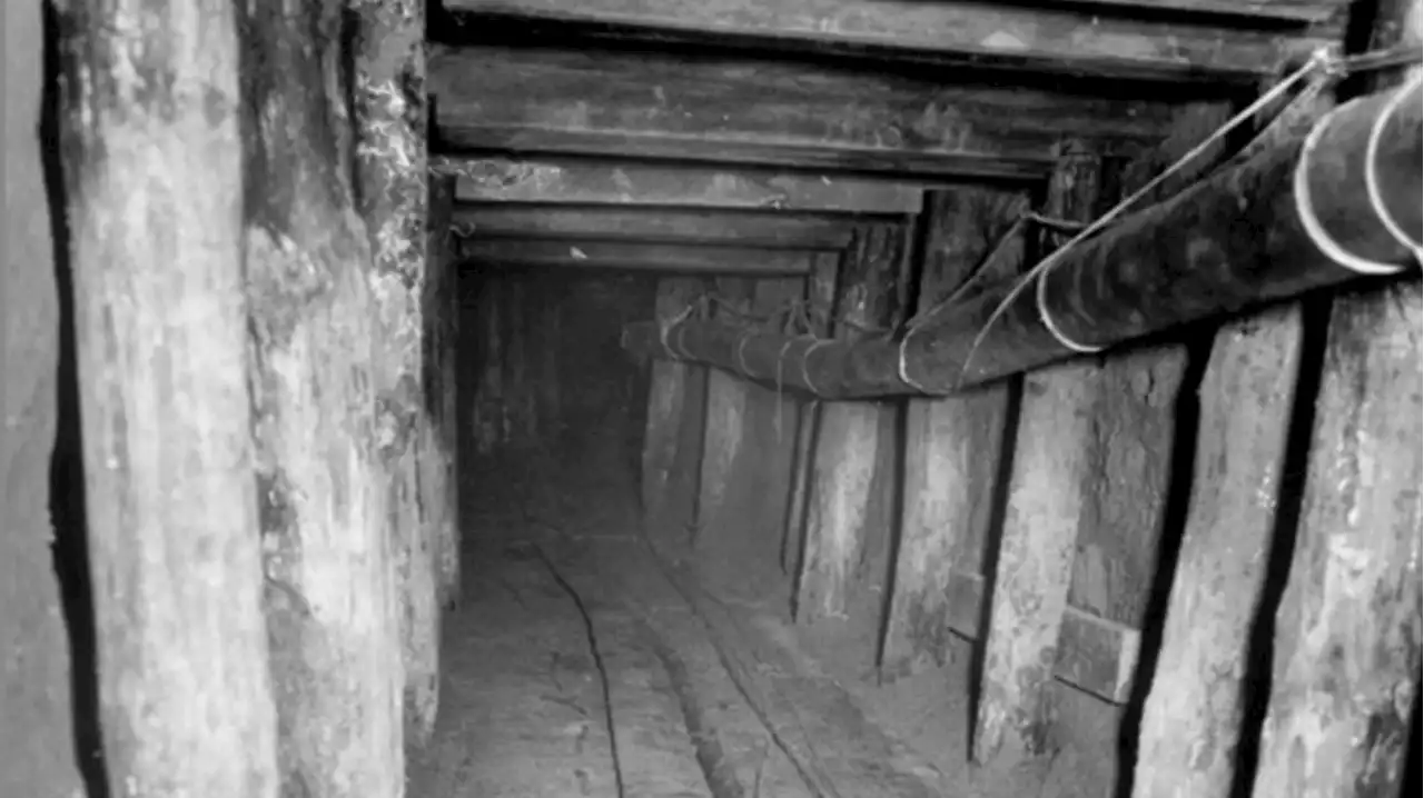 Spektakuläre DDR-Flucht: Der Tunnel der Mutigen