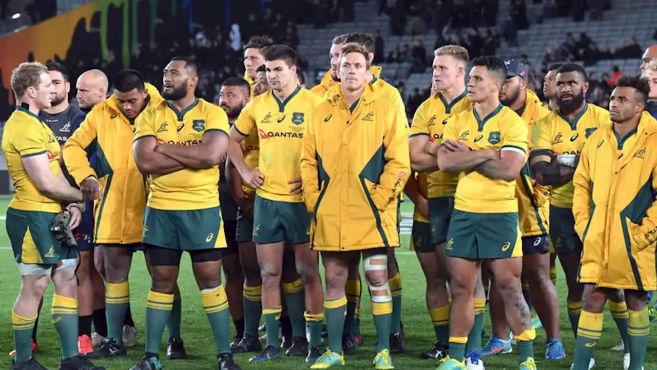 Australia face usual Bledisloe demons against All Blacks