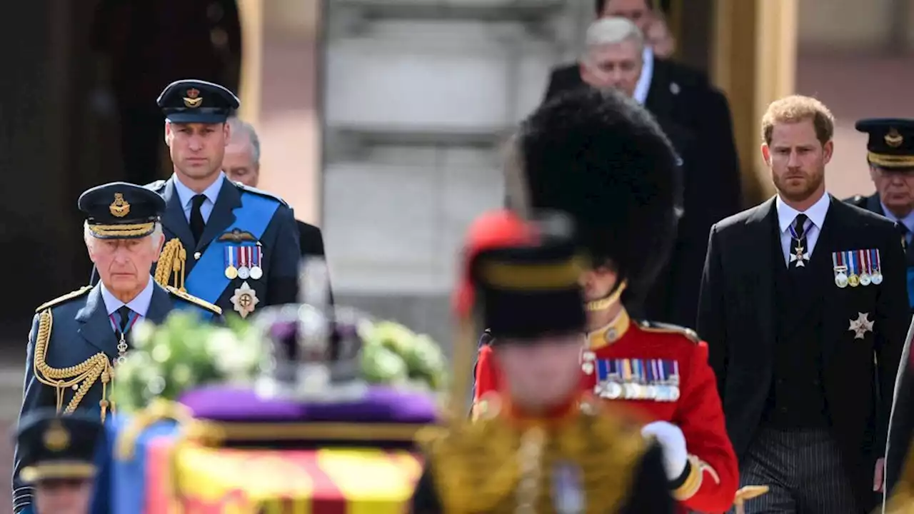 Harry et William unis dans la douleur : éplorés, ils marchent côte à côte derrière le cercueil d'Elizabeth II