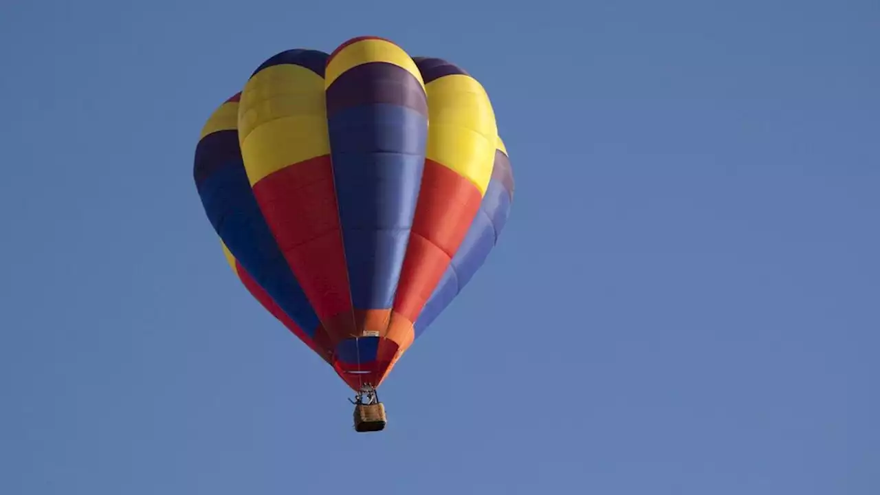 Il récolte tranquillement des pignons de pin, on le retrouve affamé deux jours plus tard à plus de 300 kilomètres