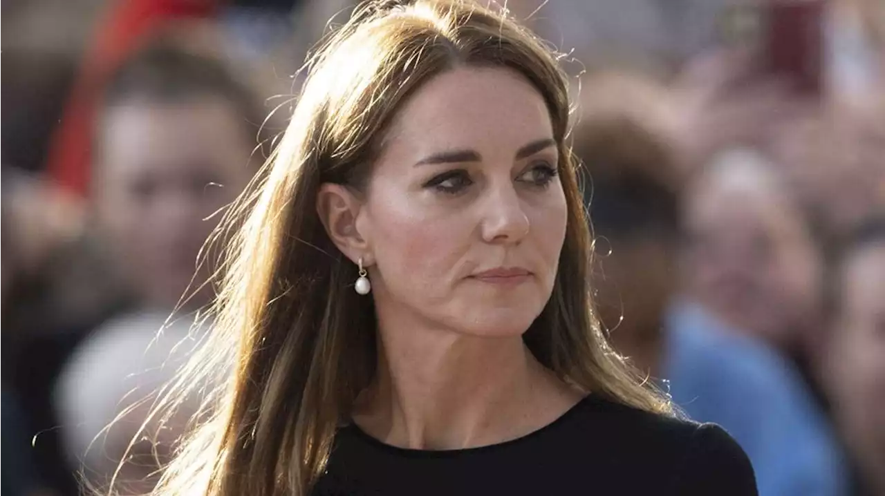 Kate Middleton à Westminster : ce choix de boucles d'oreilles étonnant pour assortir sa broche très rare