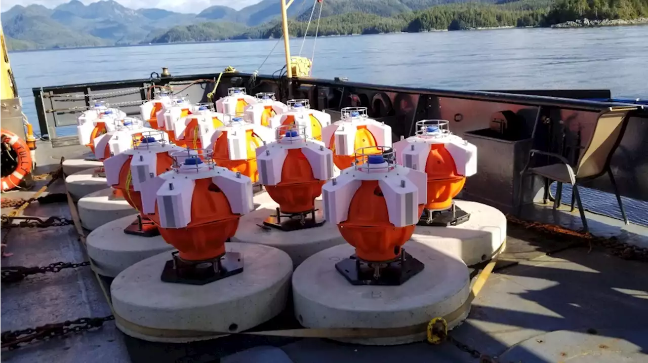 Scientists monitoring for megathrust earthquakes with new sensors off Vancouver Island