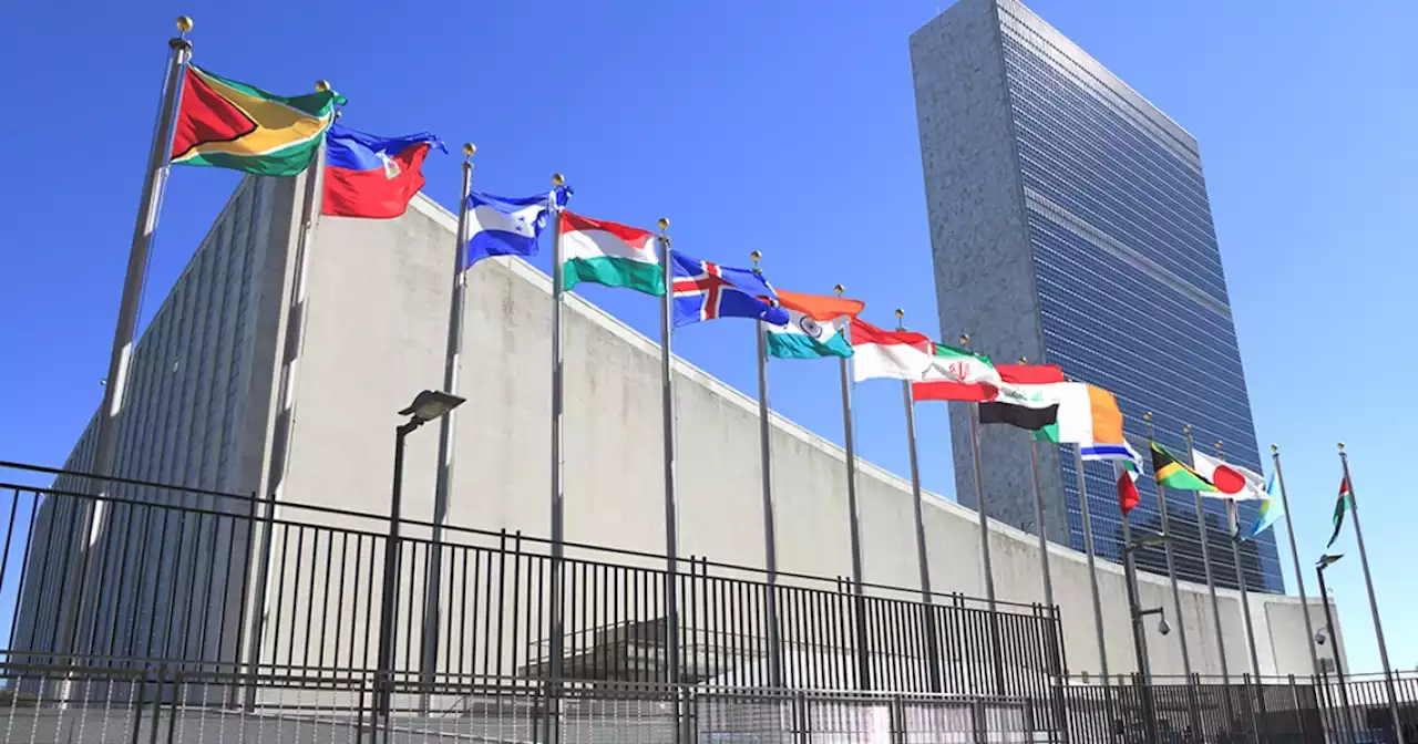 The slavery is coming from inside the UN Human Rights Council