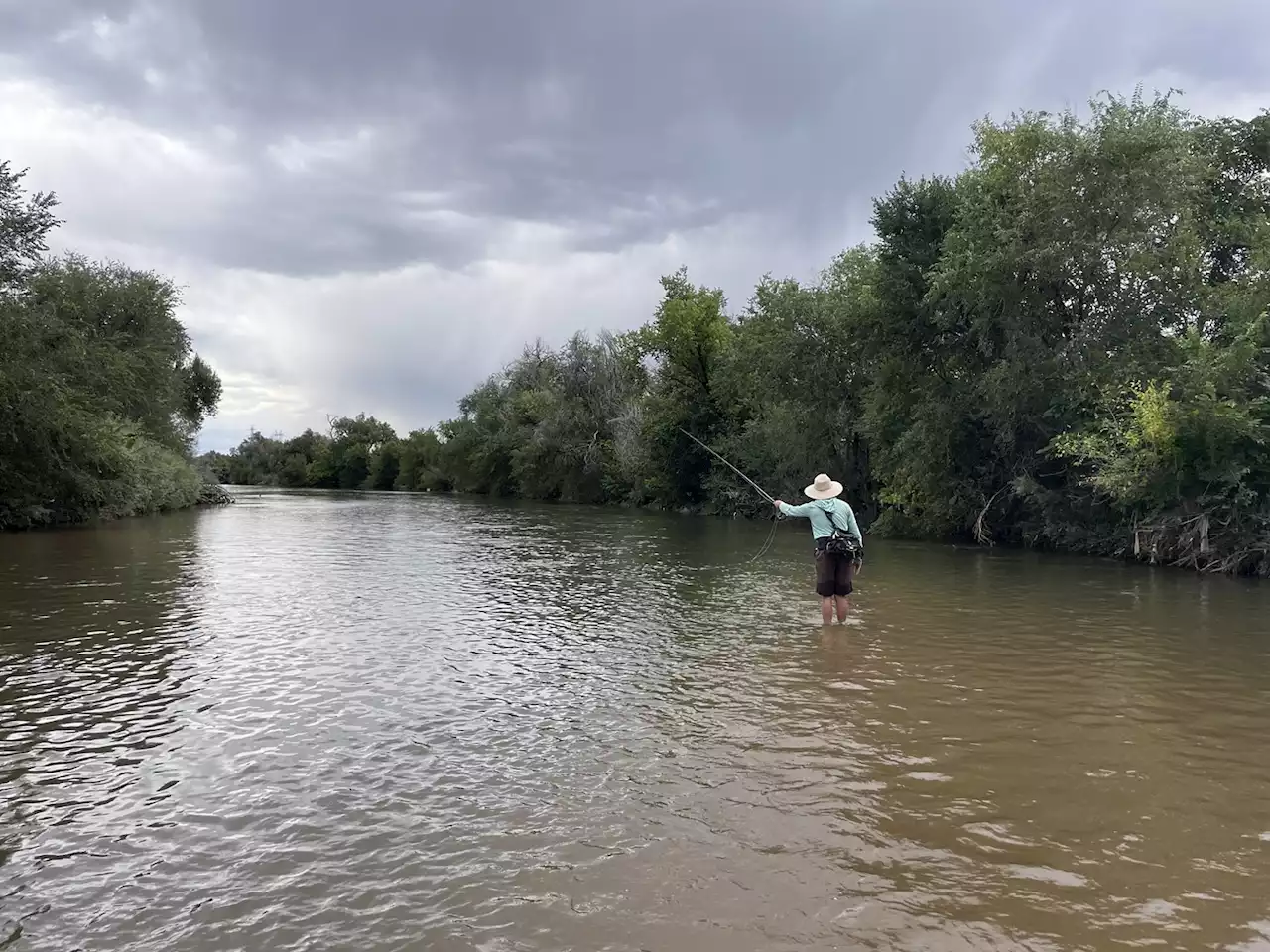 WQCC Rules in Favor of Restoring Protections to South Platte, Clear Creek