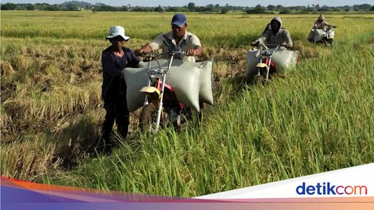 Ciri Utama Negara Berkembang dan Negara Maju