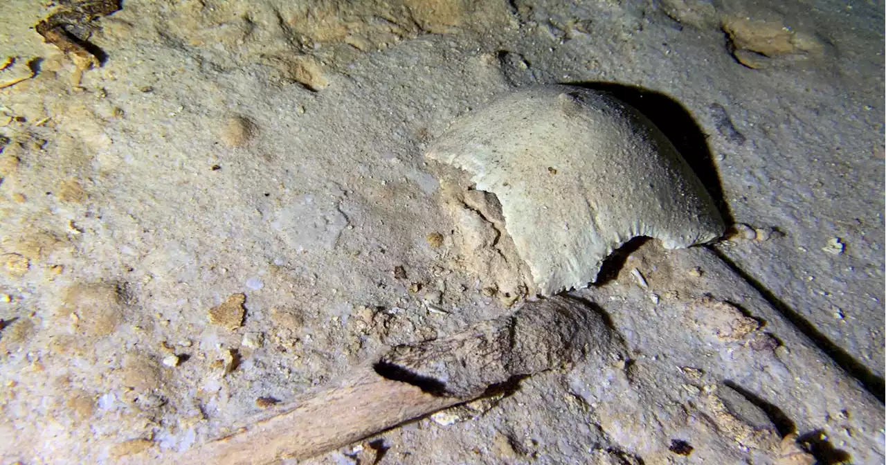 Ancient skeleton found in Mexico cave threatened by tourist train