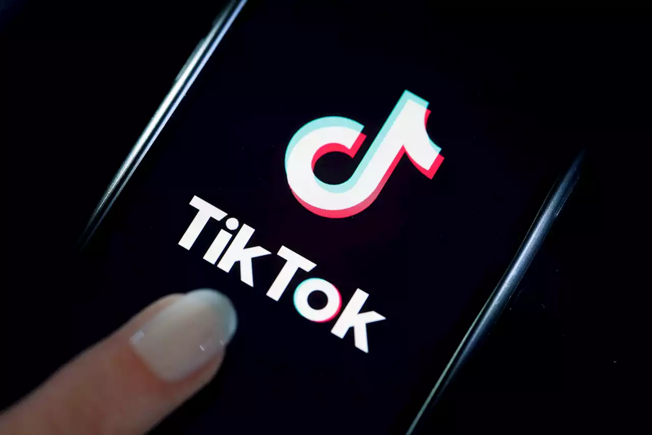 TikTok search results are reportedly swarming with misinformation | Engadget