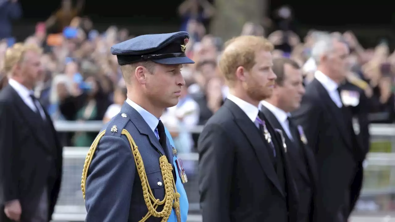 Prince Harry and Prince William Walk Behind Queen Elizabeth's Coffin