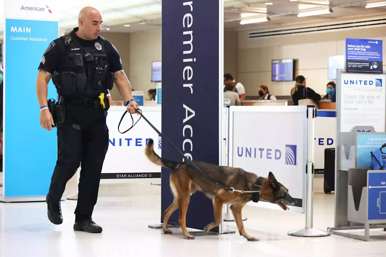 San Antonio’s airport K9 bomb detectors among the best