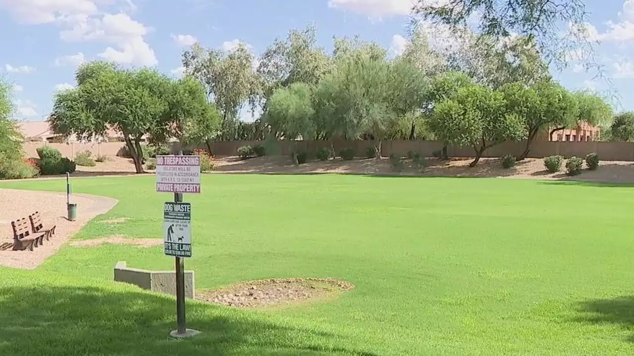 Scottsdale homeowners association tests out not overseeding and saw major benefits