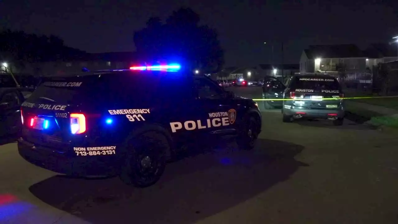 Man, 33, found shot on side of Houston road, dies at hospital