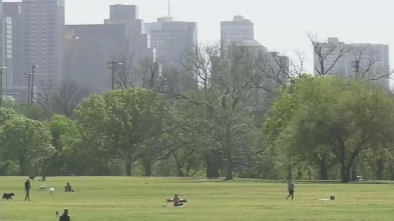 Austin Public Safety Commission assigned to Parks and Rec Board to address crime in parks