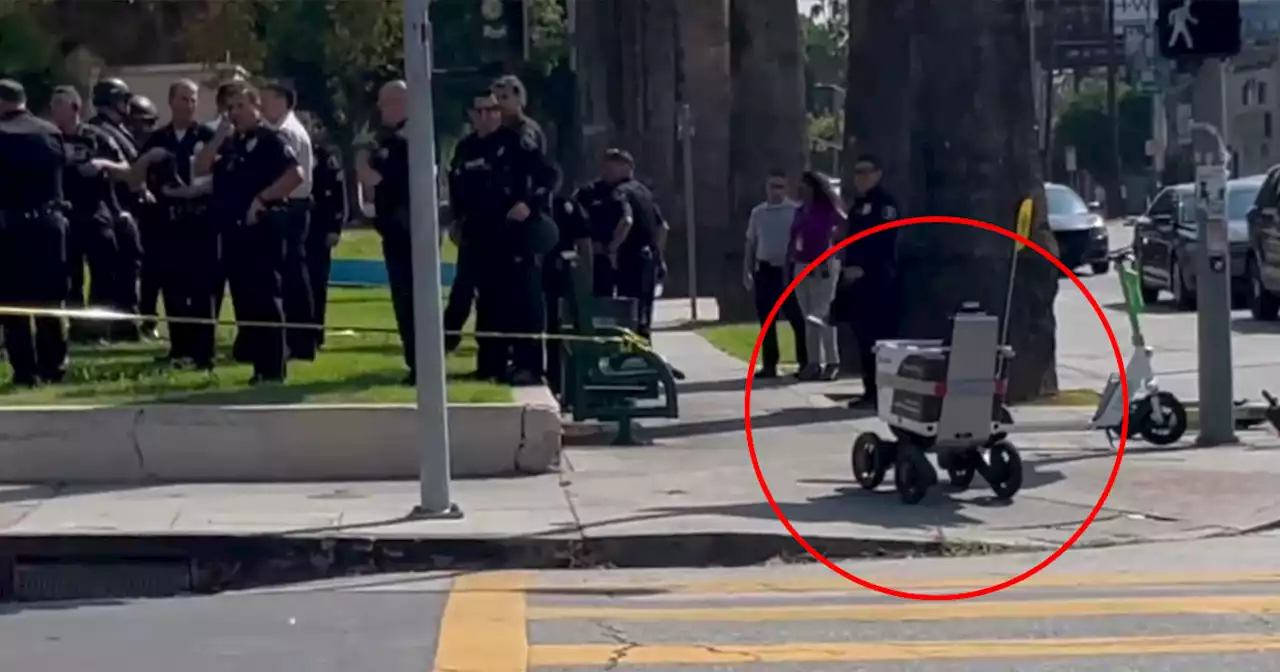 Food Delivery Robot Plows Through Crime Scene as Cops Look on in Bemusement