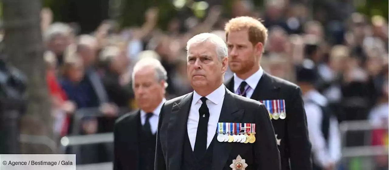 Mort d’Elizabeth II : Harry et Andrew privés d’uniforme, “il y a un côté mesquin” - Gala