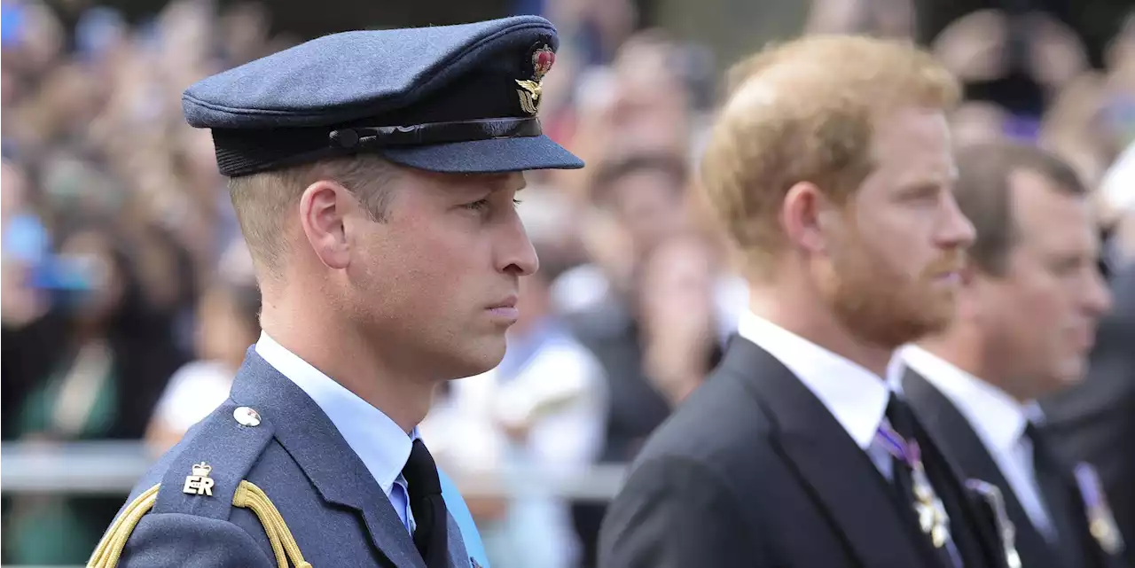 Prince William and Prince Harry Stand Side by Side During Somber Procession for the Queen