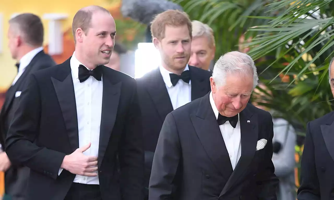 Prince William and Prince Harry to unite with King Charles at Queen's procession