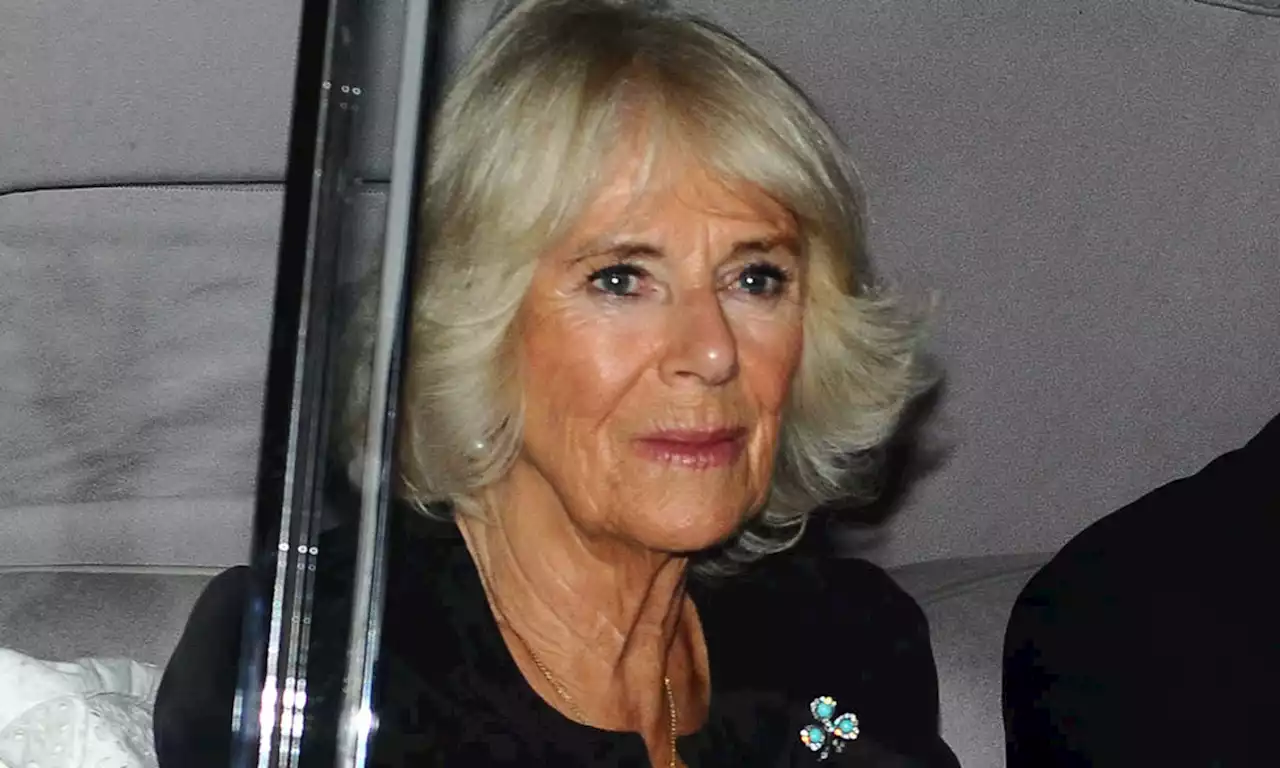 Queen Consort Camilla's subtle tribute to late Queen with sentimental jewel