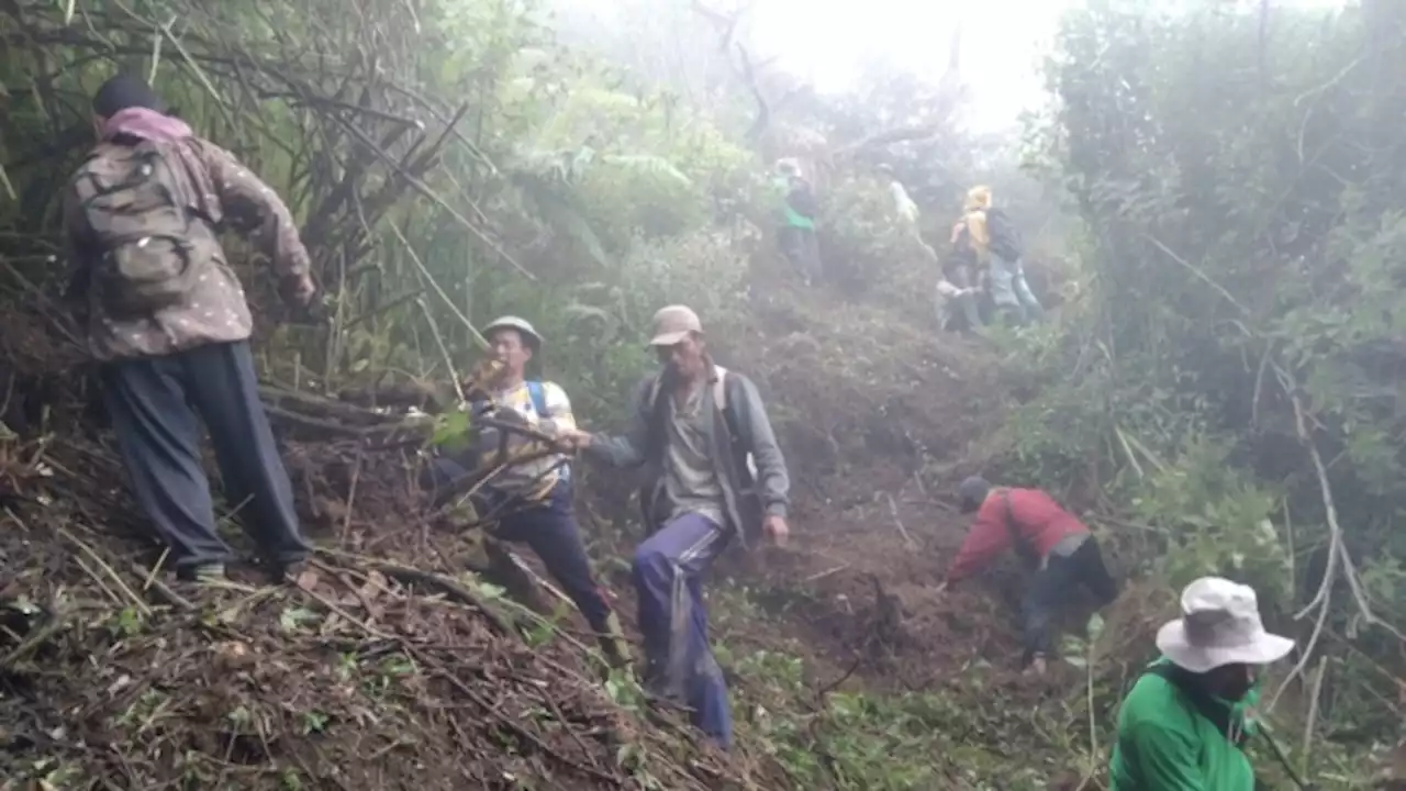 Hutan Merbabu Rawan Terbakar, BTNGMb Buat Sekat Api Sepanjang 7.331 Meter