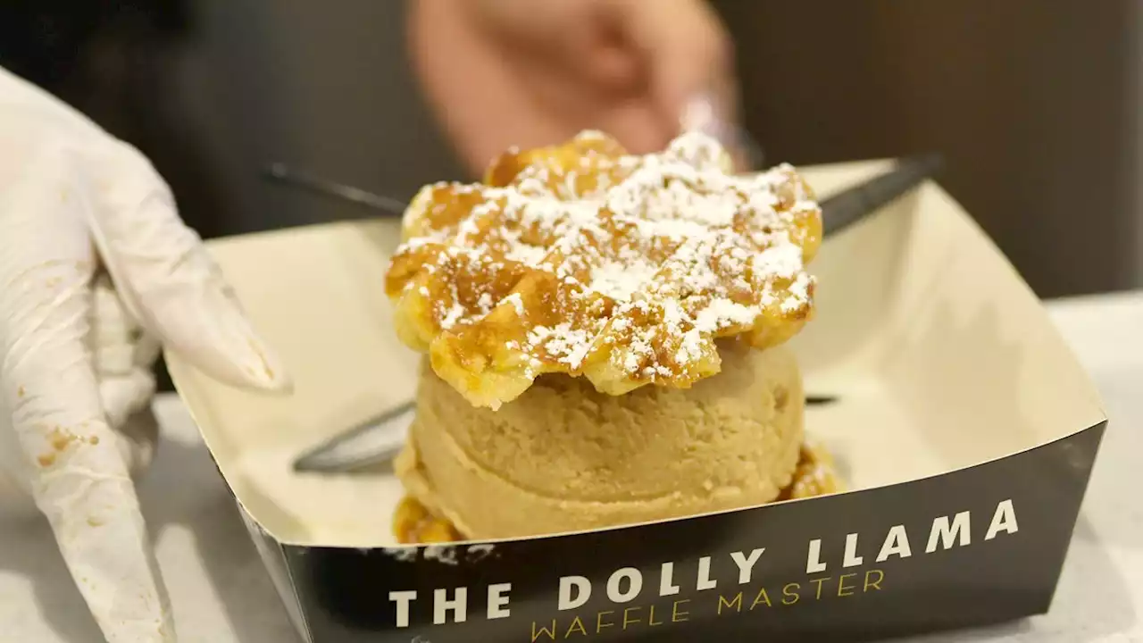 Find your bliss: The Dolly Llama Waffle Master artisan waffles and ice cream shop opens in Ponte Vedra Beach