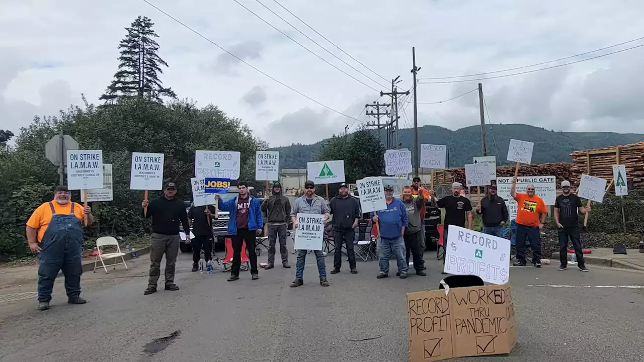 Weyerhaeuser workers reject contract and begin strike; last strike was 1986