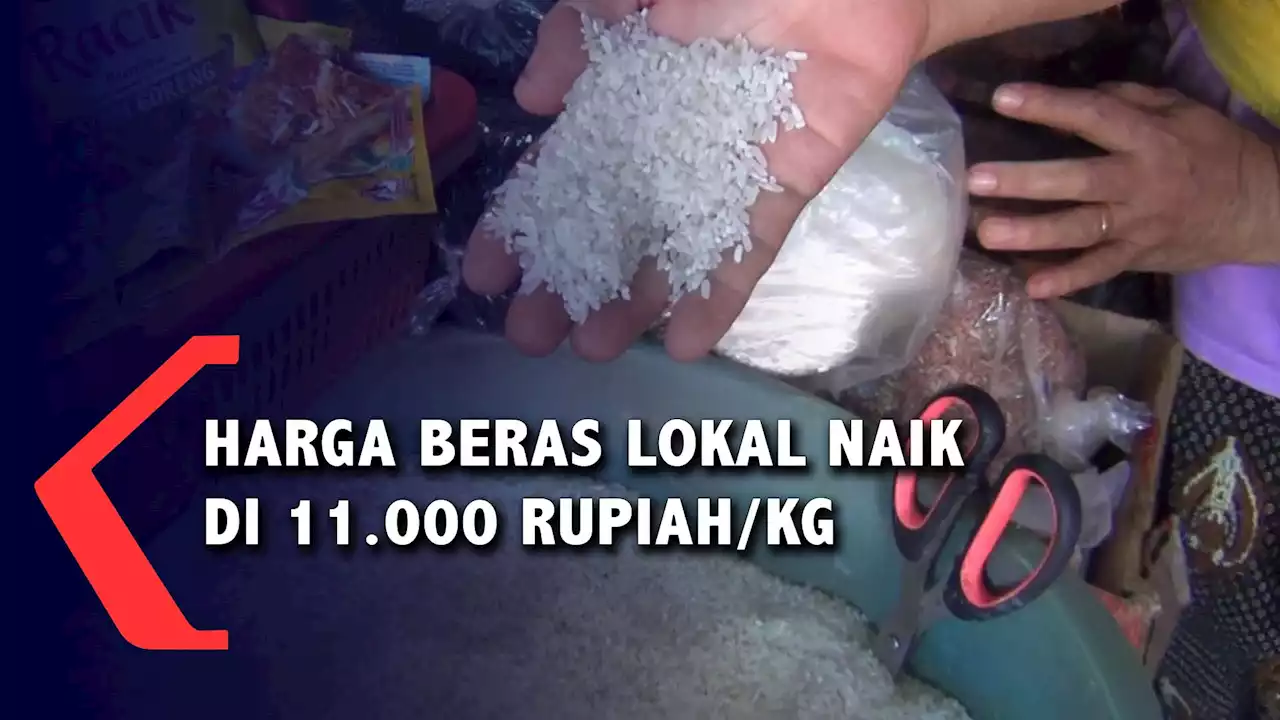 Harga Beras Lokal Naik Di 11.000 Rupiah/Kg