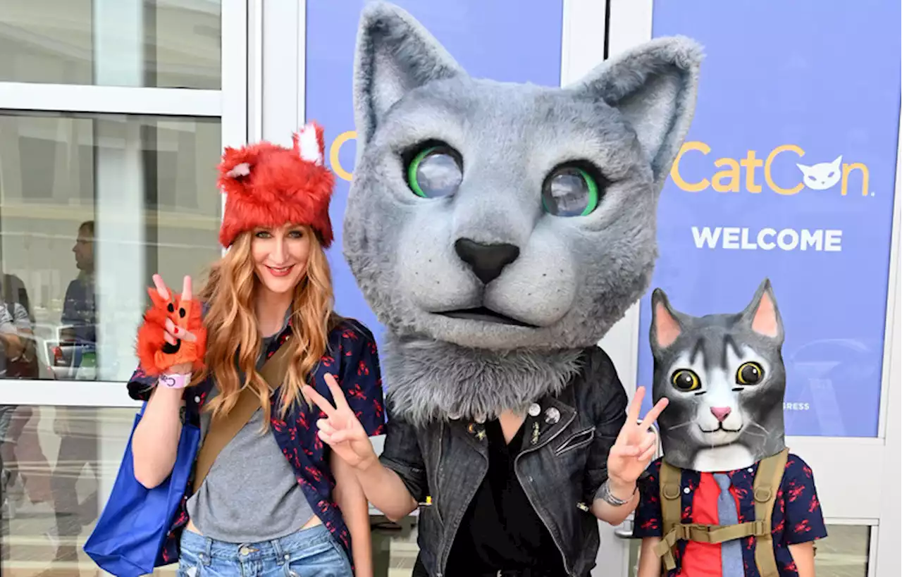 CatCon is feeling feline as event returns to Pasadena Convention Center