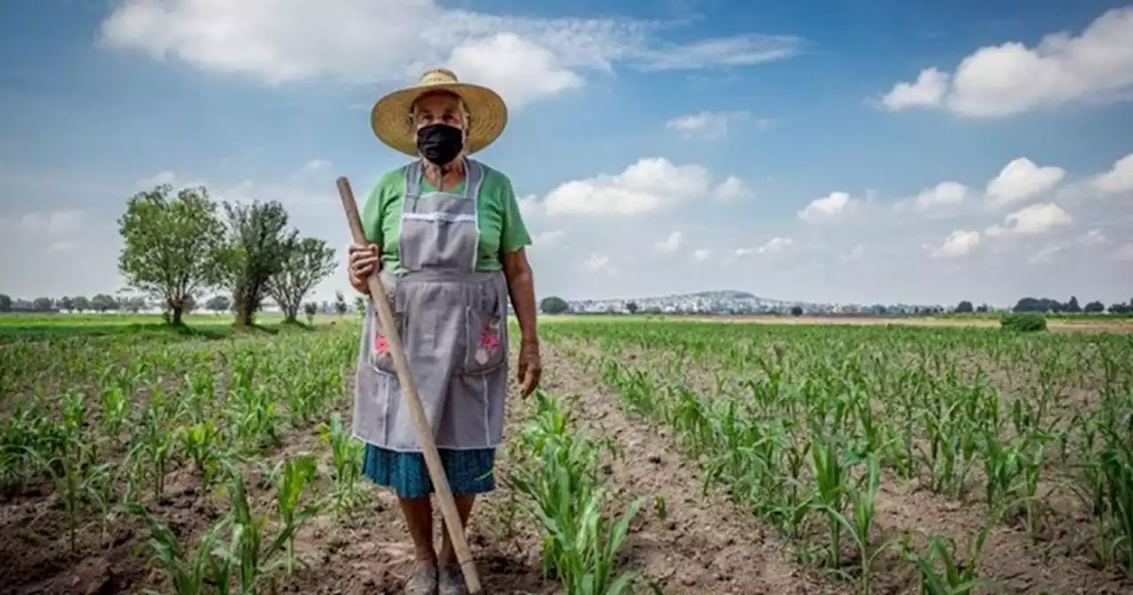 Lanzan una encuesta para conocer la realidad de las mujeres rurales en Argentina | Actualidad | La Voz del Interior