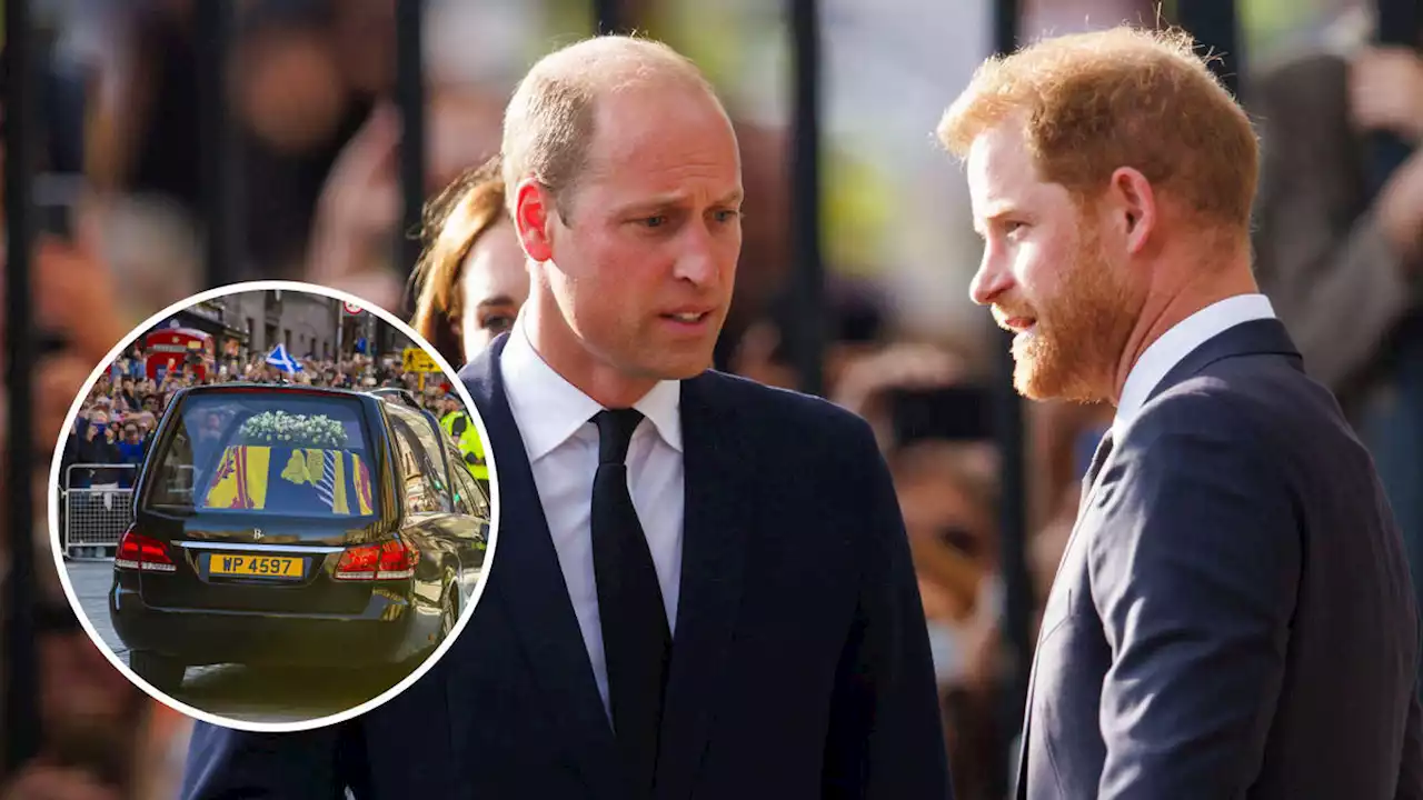 Feuding brothers unite: Prince William and Harry to walk together with King behind Queen's coffin