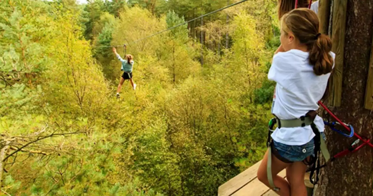 Go Ape adventure attraction coming to Lancashire