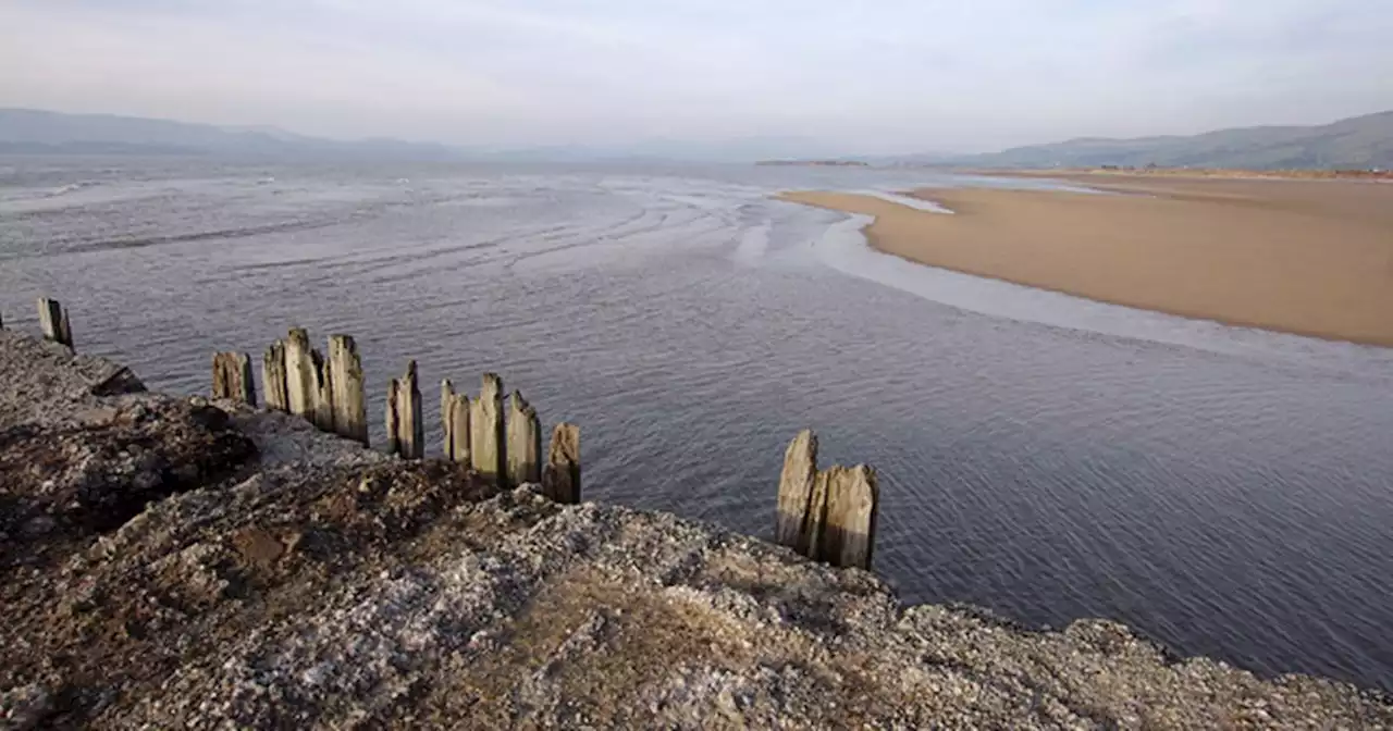 Tragedy of unknown woman who washed up on beach and didn't want to be identified