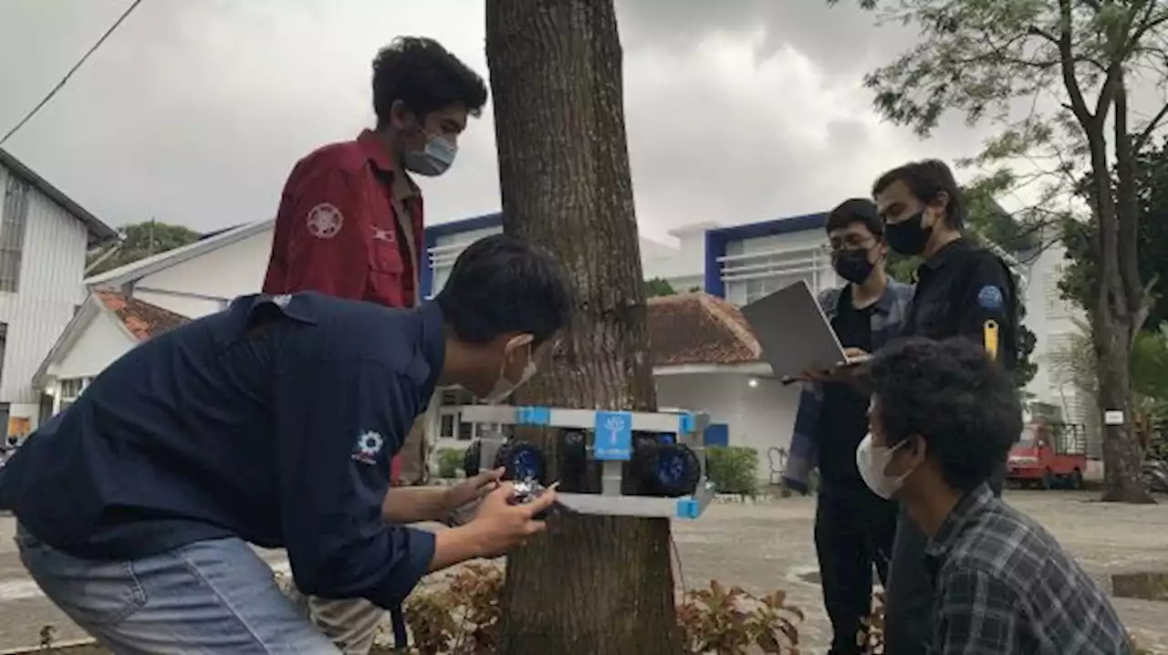 Mahasiswa UGM Kembangkan Aplikasi Pendeteksi Tingkat Kelapukan Pohon