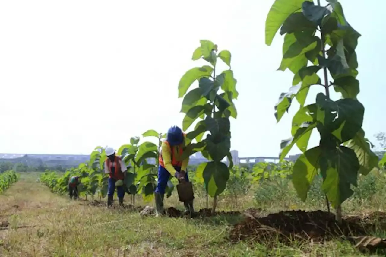 SIG Paparkan Pengelolaan Lingkungan Berkelanjutan di Jatim Environment Exhibition