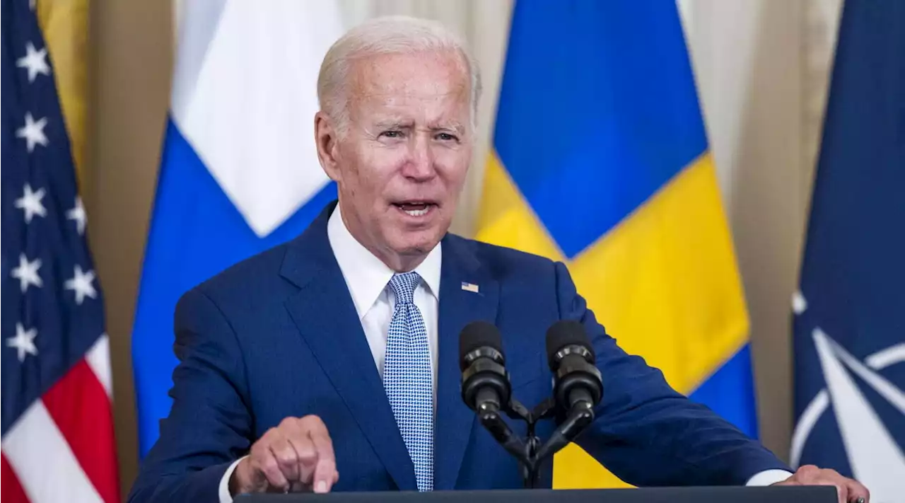 Ucraina, Biden: 'Progressi, ma la strada è ancora lunga'