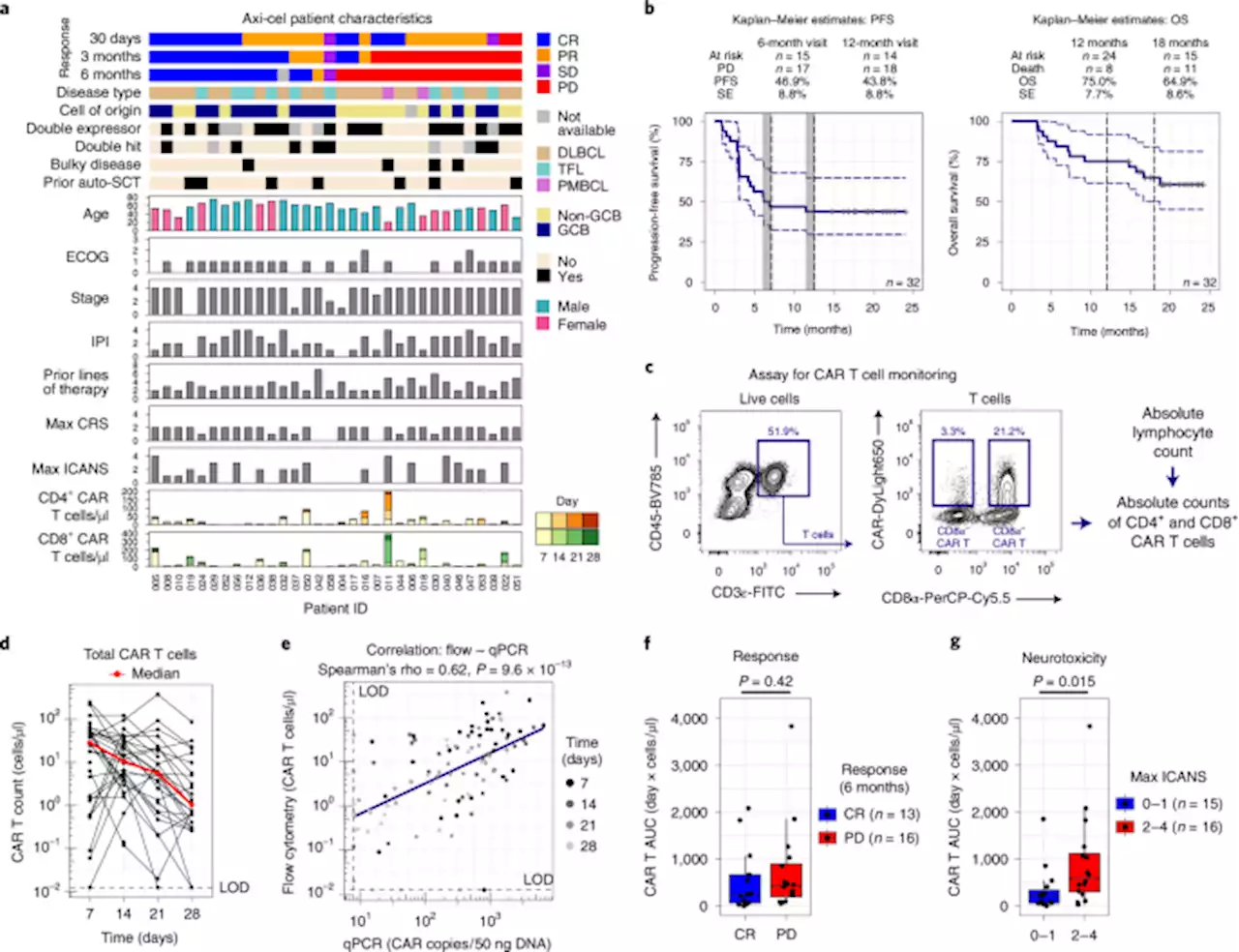 Post-infusion CAR TReg cells identify patients resistant to CD19-CAR therapy - Nature Medicine