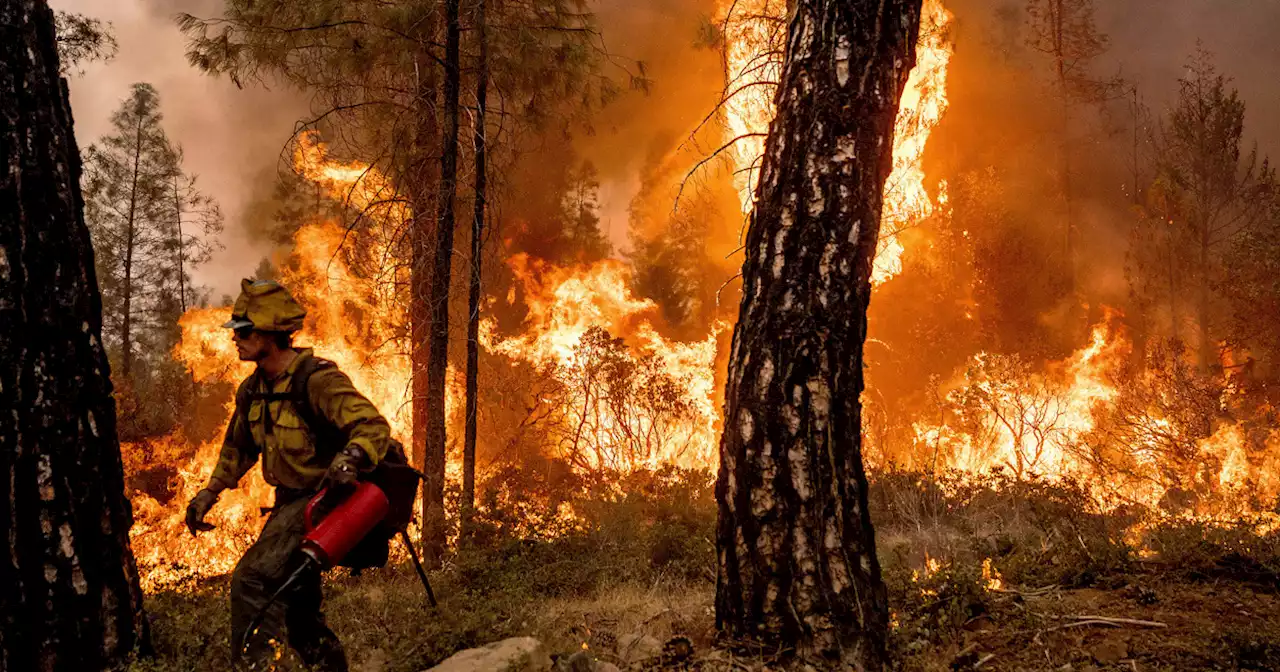 Dozens of buildings burn as gusty winds fan California wildfire