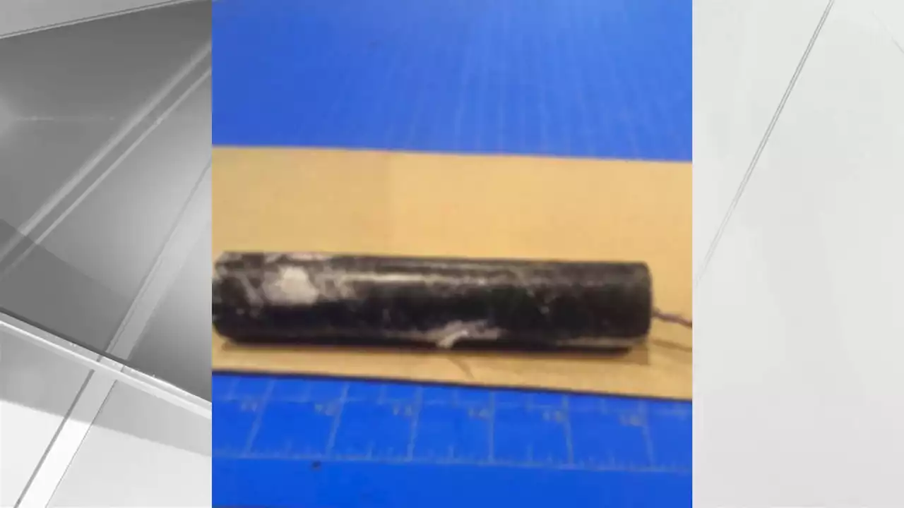 Lab Results Pending on Dynamite-Looking Device in Security Scare at Newark Airport: Officials