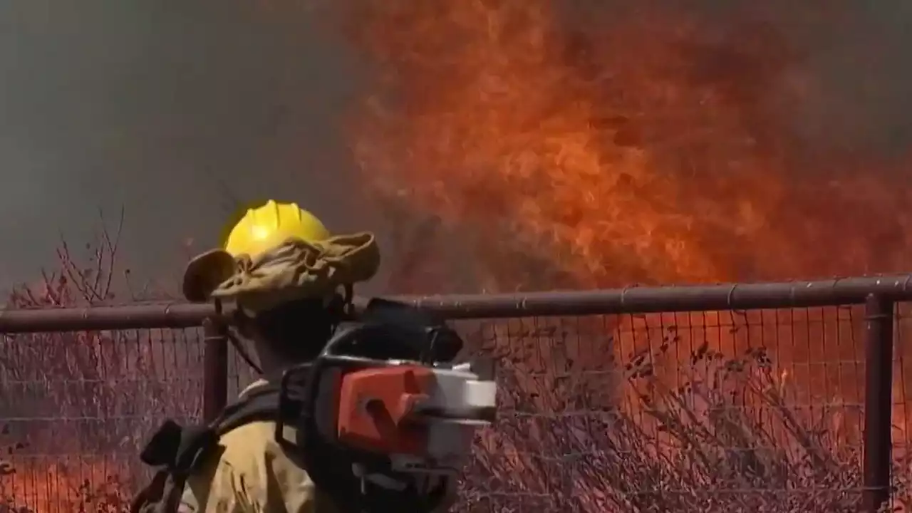 Are You Ready Should a Wildfire Disaster Strike?